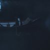 PLL215-01124.jpg