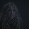 PLL215-01133.jpg