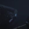 PLL215-01136.jpg