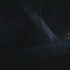 PLL215-01220.jpg