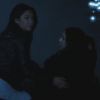 PLL215-01233.jpg