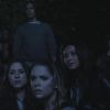 PLL215-01240.jpg