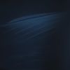 PLL215-01243.jpg