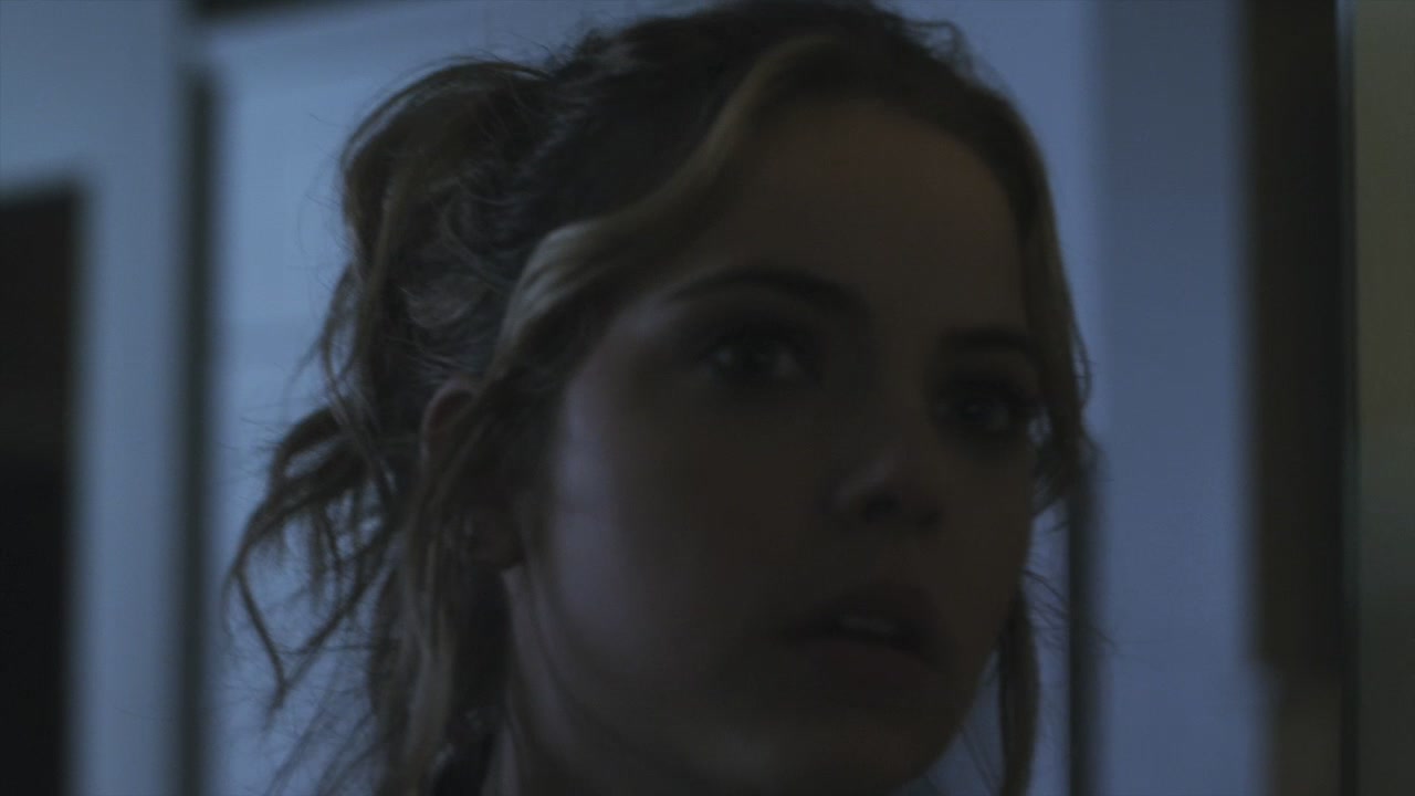 PLL216-00955.jpg