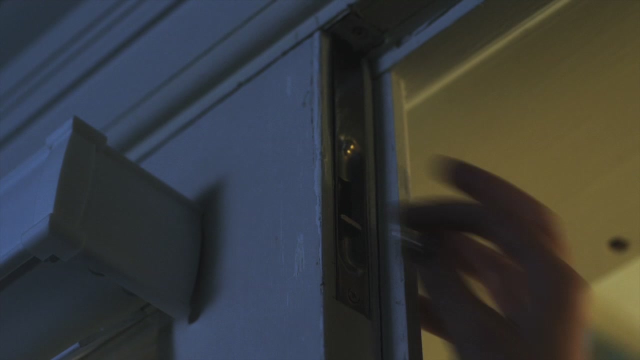 PLL216-00956.jpg