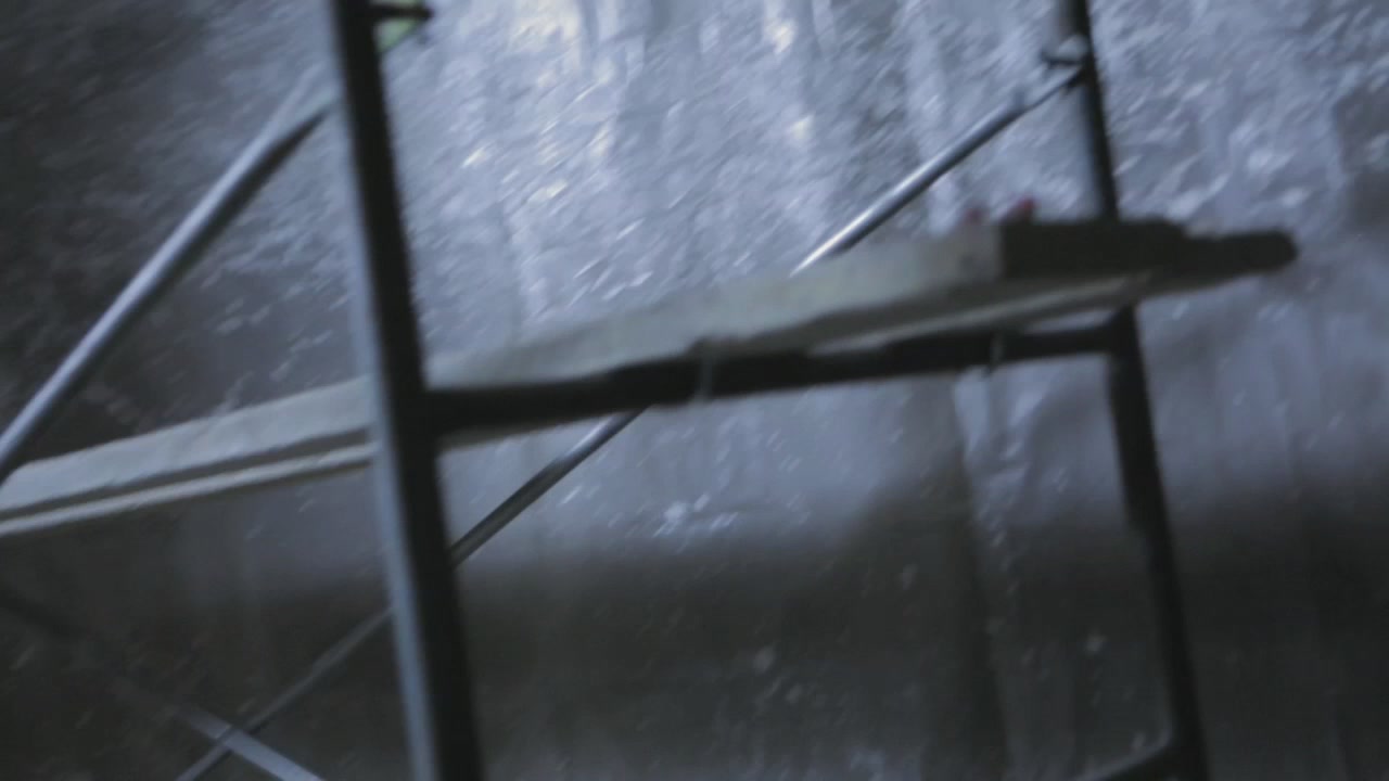 PLL216-01238.jpg