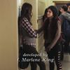 PLL216-00156.jpg