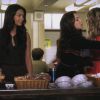 PLL218-00260.jpg