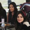 PLL218-00294.jpg