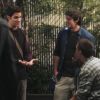 PLL218-00336.jpg