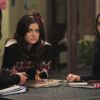 PLL218-00338.jpg
