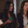PLL219-00306.jpg