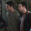 PLL219-00478.jpg