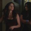 PLL219-00626.jpg