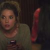 PLL219-00901.jpg