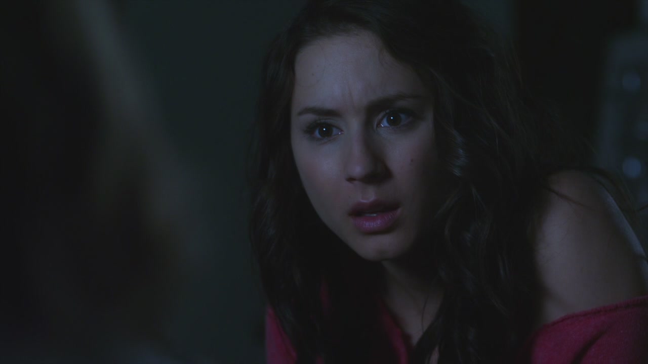PLL224-00015.jpg