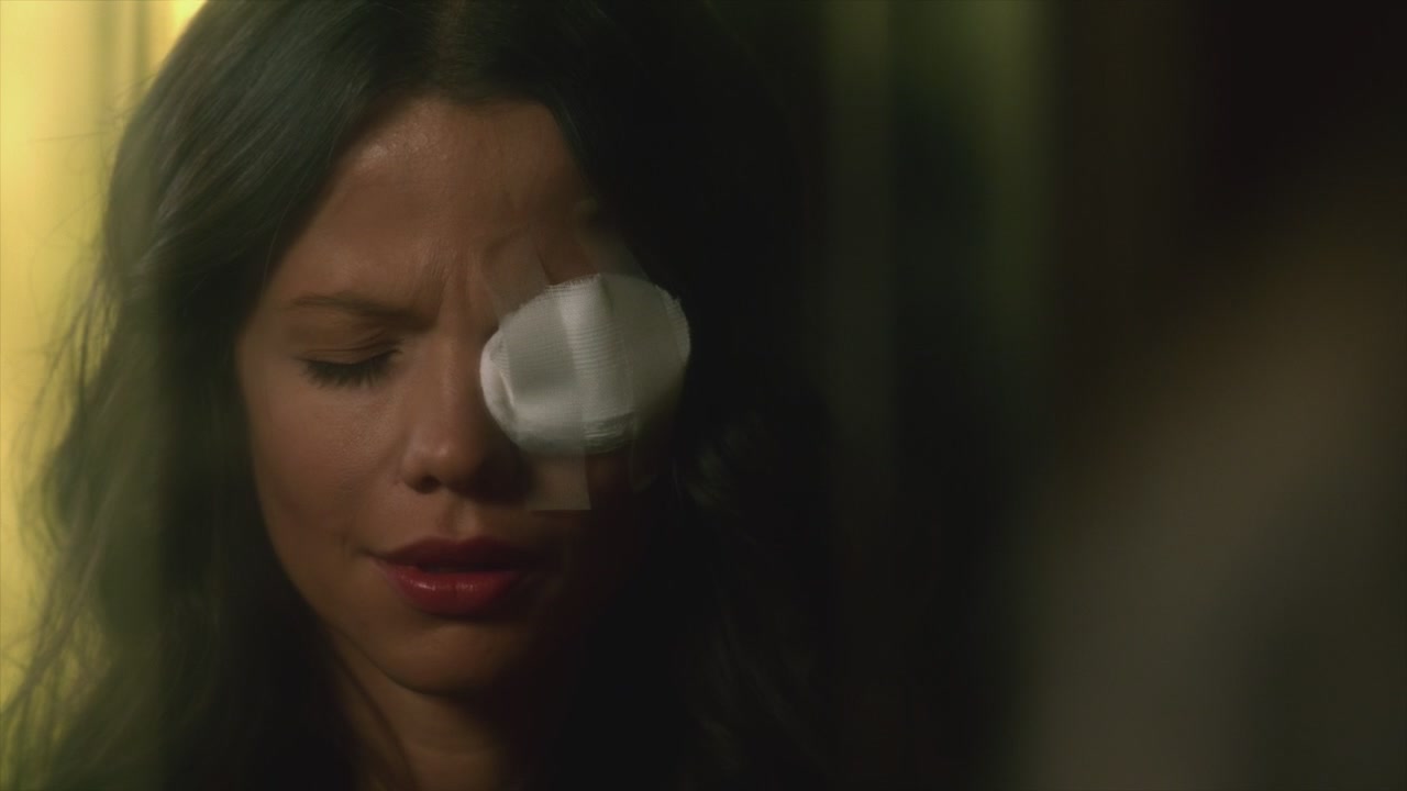 PLL224-00206.jpg
