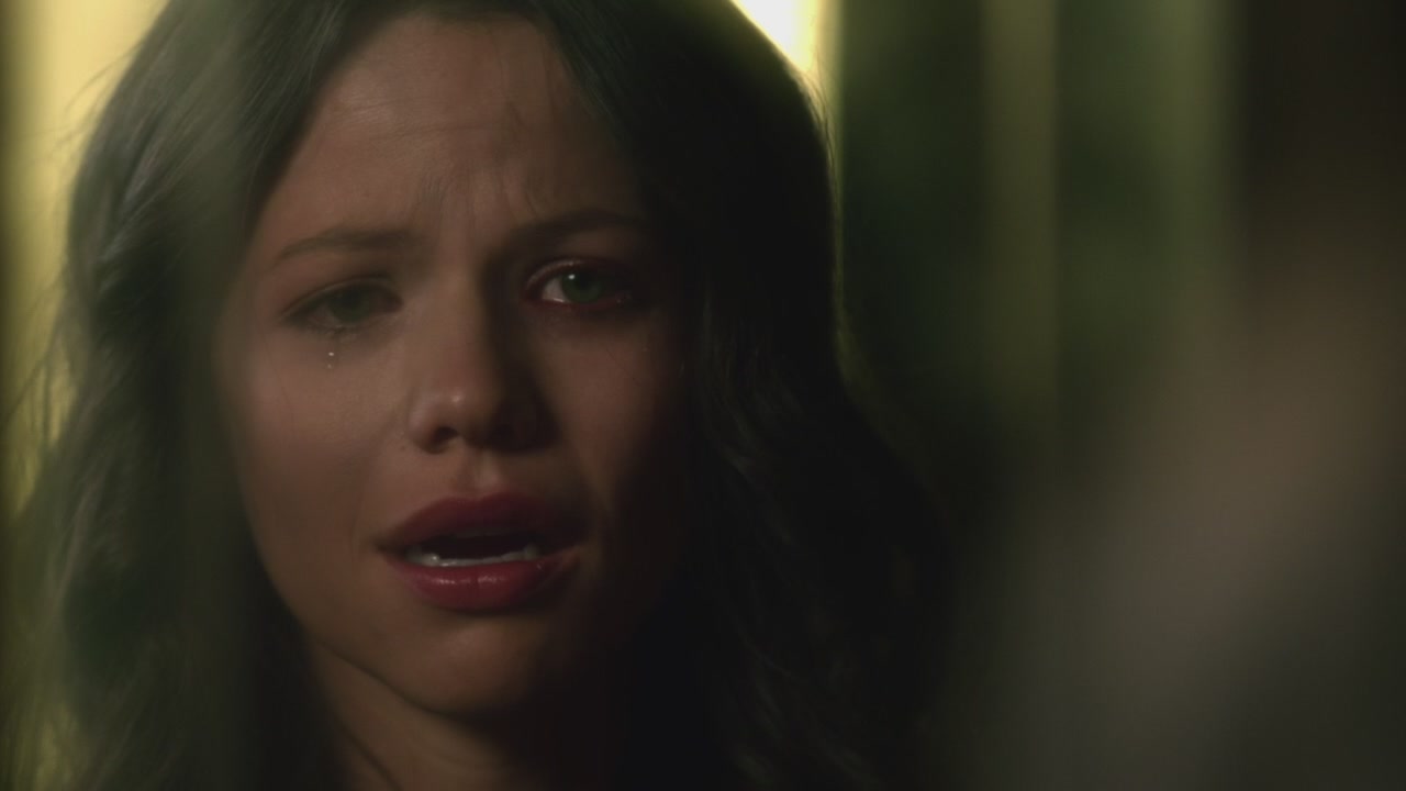 PLL224-00237.jpg
