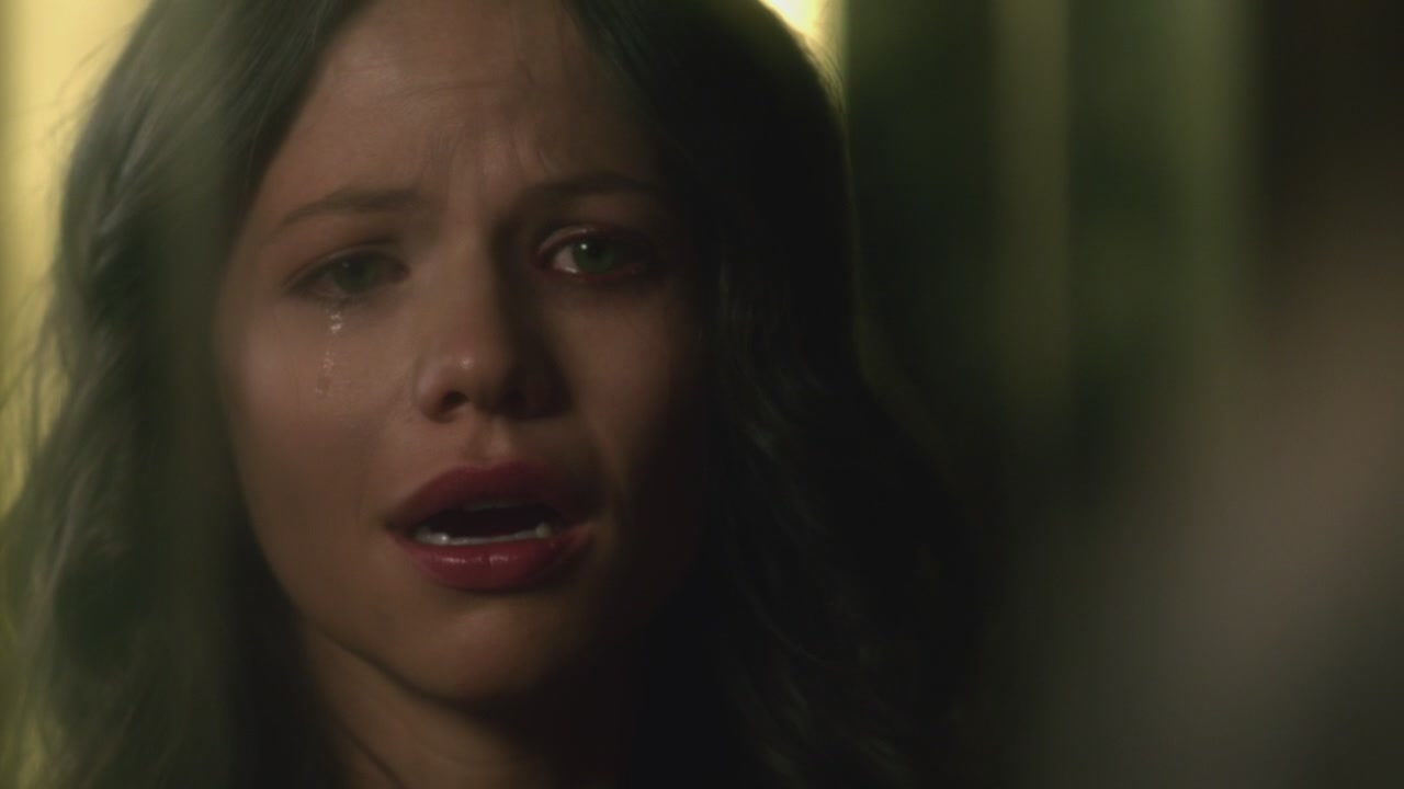PLL224-00238.jpg