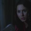 PLL224-00034.jpg