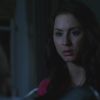 PLL224-00043.jpg