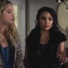 PLL224-00162.jpg