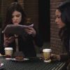 PLL224-00250.jpg