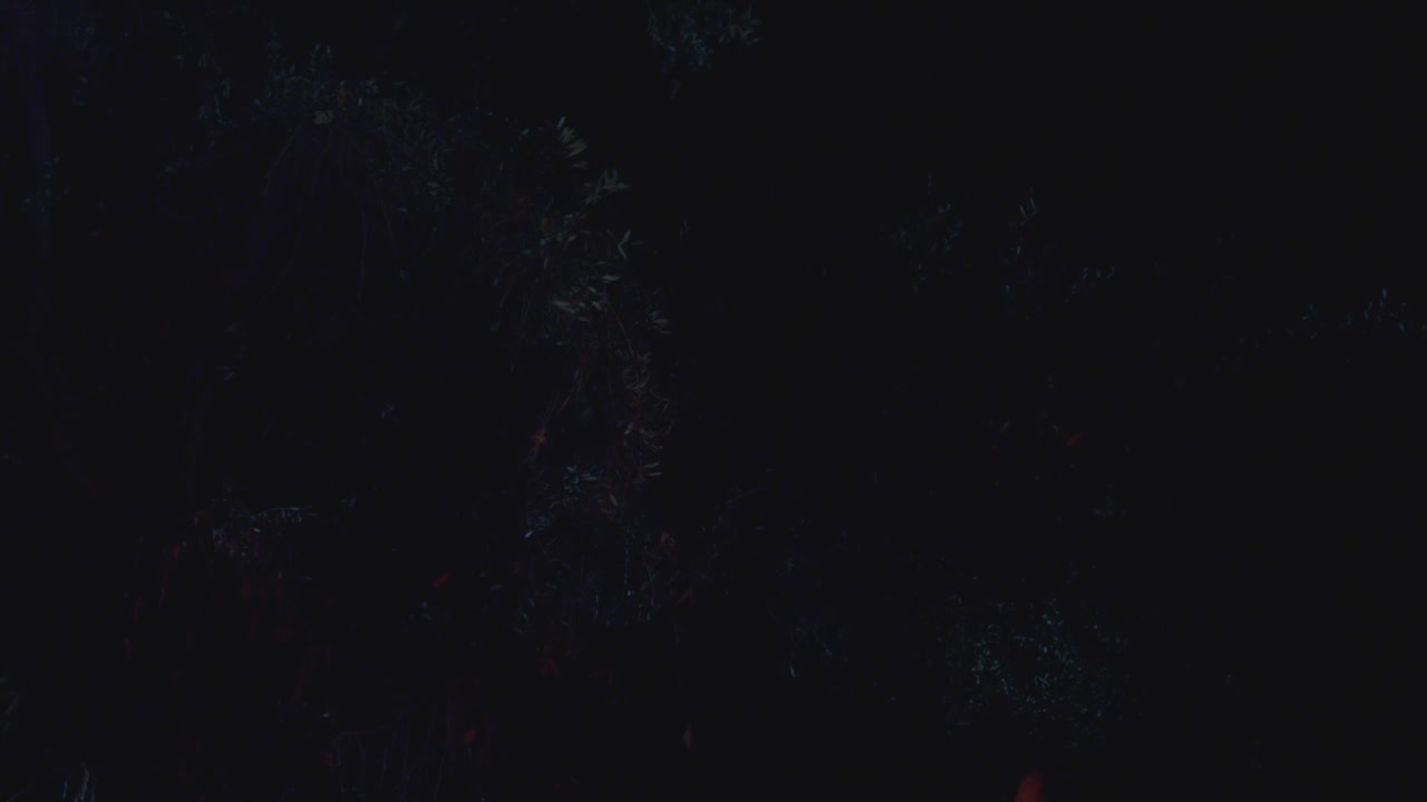 PLL225-00235.jpg