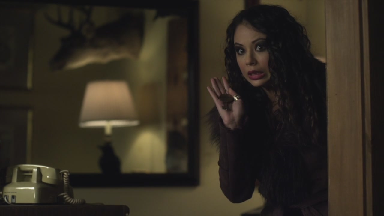 PLL225-00755.jpg