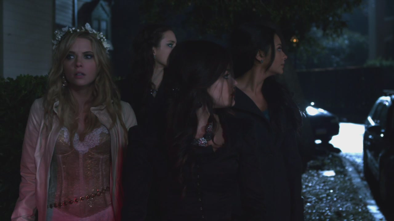 PLL225-01212.jpg