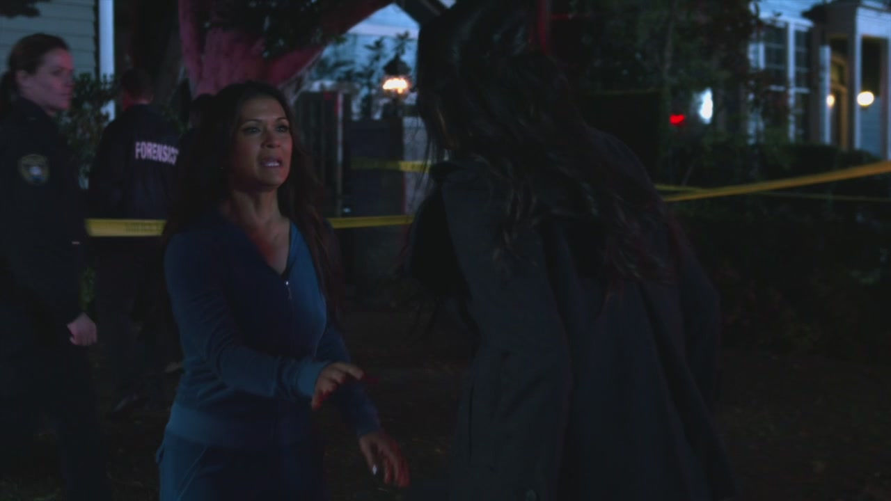 PLL225-01222.jpg