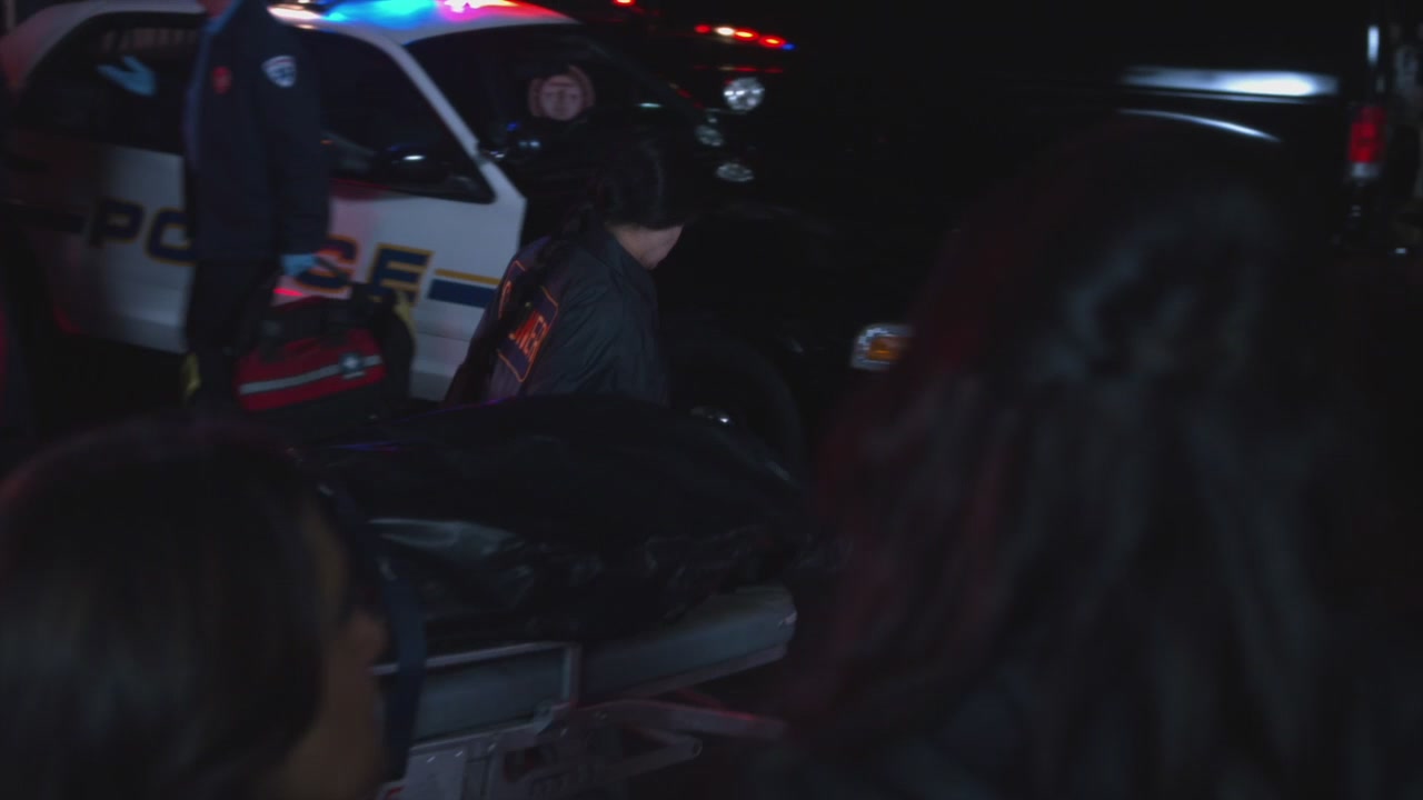 PLL225-01234.jpg