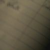 PLL225-00268.jpg
