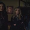 PLL225-00273.jpg