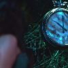 PLL225-00732.jpg