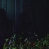 PLL225-00764.jpg