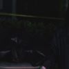 Filename=PLL225-01229.jpg
Filesize=33KiB
Dimensions=1280x720
Date added=Mar 22, 2012 PLL225-01229.jpg