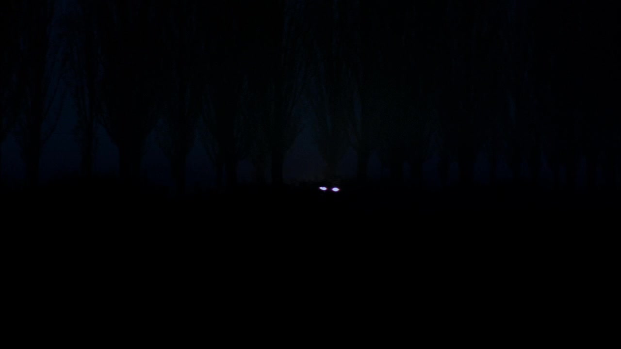 1002.jpg