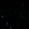 Filename=0921.jpg
Filesize=81KiB
Dimensions=1916x1076
Date added=Jun 05, 2015 0921.jpg