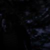 Filename=1080.jpg
Filesize=62KiB
Dimensions=1916x1076
Date added=Jun 05, 2015 1080.jpg