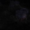 Filename=0993.jpg
Filesize=122KiB
Dimensions=1916x1076
Date added=Jun 27, 2015 0993.jpg