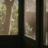 Filename=0251.jpg
Filesize=227KiB
Dimensions=1916x1076
Date added=Jan 15, 2017 0251.jpg